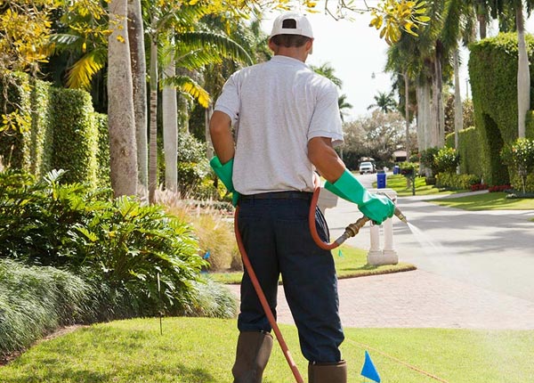 About Lakeshore CA Pest Control Pros